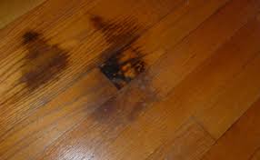 What Causes Dark Spots on Hardwood Floors and How to Fix Them